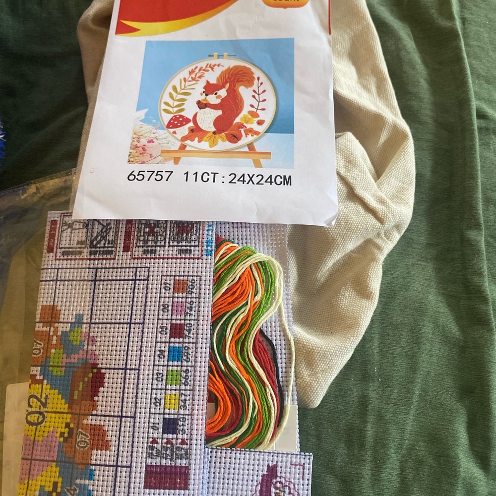 Squirrel Embroidery Kit with Threads